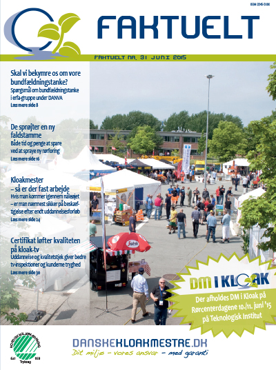 Faktuelt nr 31 juni